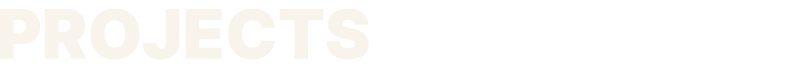 Like a Bo Projects Title